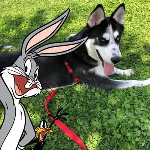 Meet your Posher, Ana